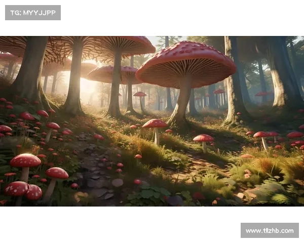 《仙侣2》中的五大奇幻场景探秘 领略惊艳美景与神秘世界