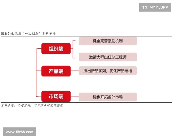 全面解析洛塞尔索技术与战术特点的多维度深度分析方法指南全景化
